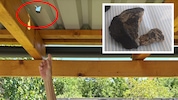 Der Meteorit durchschlug das Pergola-Dach im Burgenland.