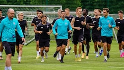 Wieder am Ball: Fußball-Zweitligist Austria Salzburg.