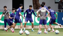 Wurden Südkoreas Spieler beim Training beobachtet?