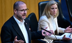 FPÖ-Generalsekretär Christian Hafenecker muss seine Behauptung über Außenministerin Beate ...