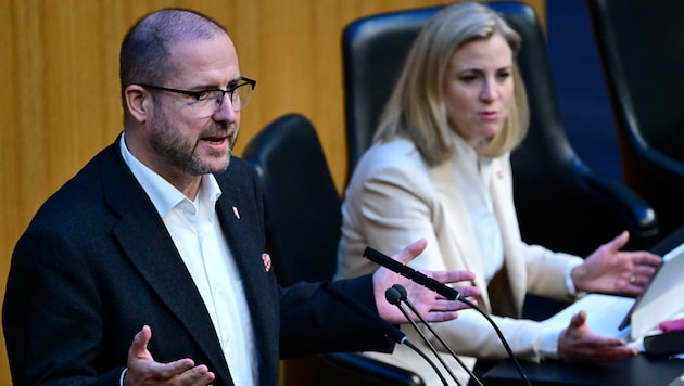 FPÖ-Generalsekretär Christian Hafenecker muss seine Behauptung über Außenministerin Beate ...