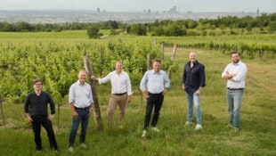 Die sechs WienWein-Winzer (v.l.:) Josef Wimmer-Schmidt (Cobenzl), Fritz Wieninger (Wieninger), ...
