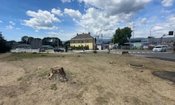 Ein Bild der Zerstörung. In dem Bereich standen mehrere hochgewachsene Birken.