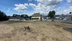 Ein Bild der Zerstörung. In dem Bereich standen mehrere hochgewachsene Birken.