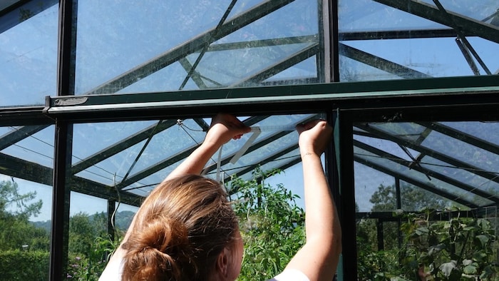Das Punktraster gibt es zum Nachrüsten auch auf breiten Folienrollen für große Glasflächen.