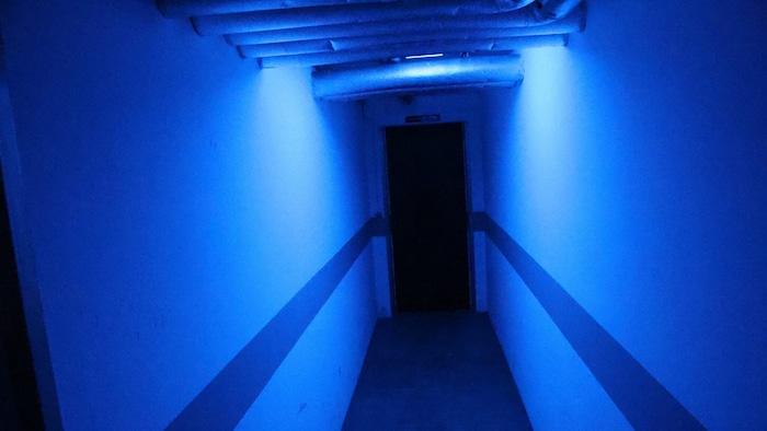 UV-Licht im Keller musste angebracht werden, hilft aber nur bedingt.
