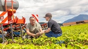 Hannes ist Bio-Pionier mit Überzeugungskraft. Gerne teilt er sein Wissen. Und er weiß für seine ...