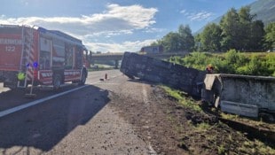 Einige Tiere verendeten bei dem Unfall.
