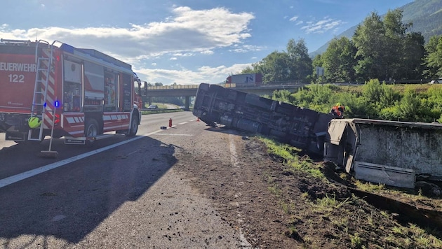 Einige Tiere verendeten bei dem Unfall.