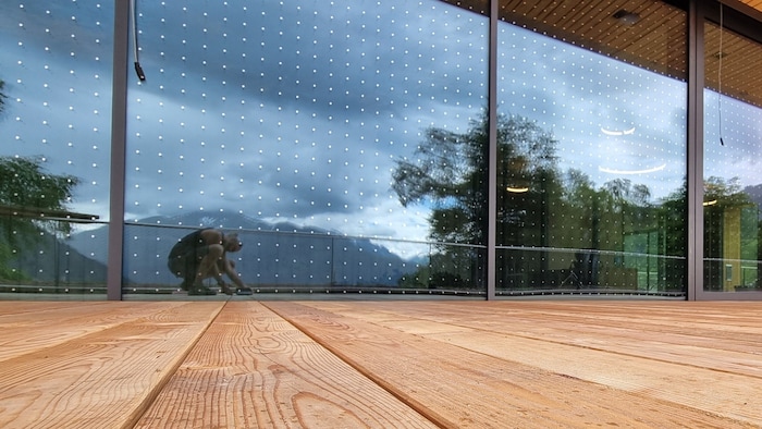 Das verwendete 9/90 mm-Raster der Firma Seen deckt nur ca. 0,8 % der Glasfläche ab und erreicht ...