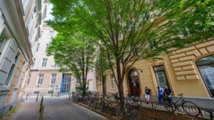 Im Gebäude der Stadt hatte der Verein seine Räumlichkeiten bezogen.