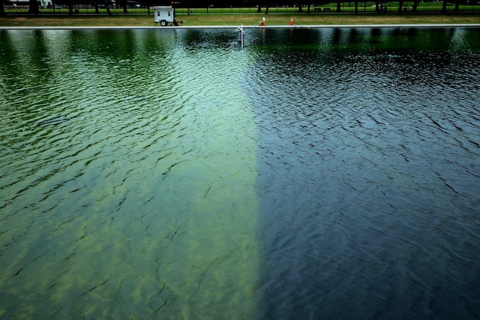Arbeiter entfernen die Algen im Wasserbecken – dabei gehen jedoch auch Teile der „US-blauen“ ...