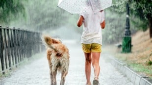 Noch einmal wird es richtig heiß: Bis zu 36 Grad erwarten die Meteorologen am Wochenende. Ab ...