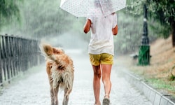Noch einmal wird es richtig heiß: Bis zu 36 Grad erwarten die Meteorologen am Wochenende. Ab ...
