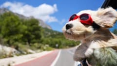 Vor der lang ersehnten Abkühlung ab Montag zeigt der Sommer am Wochenende noch einmal, was er ...