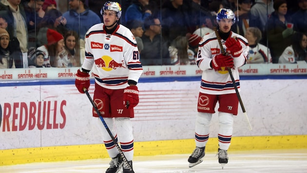 Eisbulle wechselt an die Donau.