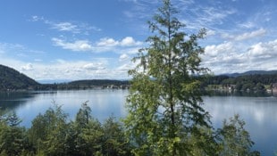 Der Klopeiner See ist nicht nur warm, sondern hat auch Trinkwasserqualität.