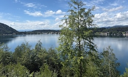 Der Klopeiner See ist nicht nur warm, sondern hat auch Trinkwasserqualität.