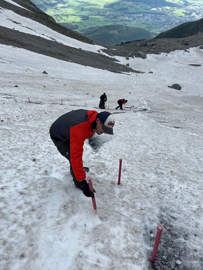 Die Feuerwehr kümmert sich in Saalfelden um das Edelweiß in der Schneegrube.