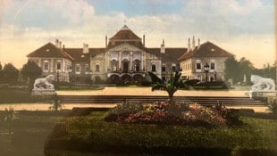 Die Postkarte stammt aus dem Jahr 1910. Deutlich erkennbar sind die Palmen vor dem Schloss.