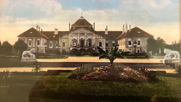 Die Postkarte stammt aus dem Jahr 1910. Deutlich erkennbar sind die Palmen vor dem Schloss.