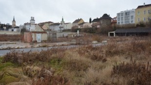 Steppenlandschaft unweit des Stadtzentrums. 2008 kaufte Investor Reinhold Frasl den Grund von ...