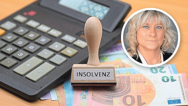 KSV-Expertin Birgit Dostal gibt einen Überblick über die dramatische Wirtschaftssituation in ...