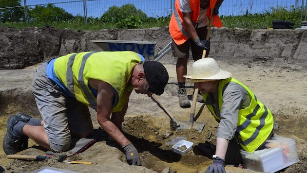 Bei der Modernisierung des Stromnetzes entdeckten Archäologen echte Schätze.