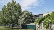 Vor diesem Balkon versammeln sich Jugendliche, um die Bewohnerin mit Worten zu quälen. Die Folge ...