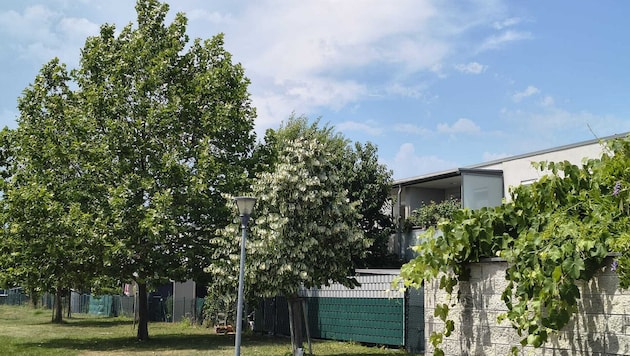 Vor diesem Balkon versammeln sich Jugendliche, um die Bewohnerin mit Worten zu quälen. Die Folge ...