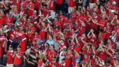 Norwegens Fußball-WM-Fans erobern auch den Baseball.