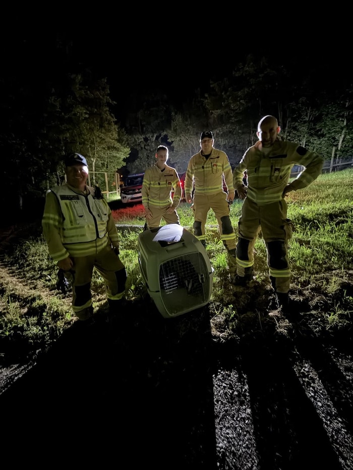 Glückliche Gesichter auch bei den Rettern der Feuerwehr Kitzbühel.