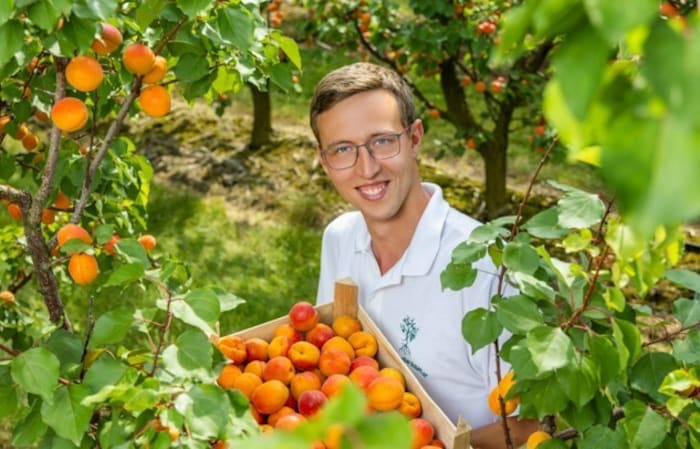 Dominik Schreiber ist der Sohn der Familie und ein echter Kenner des Obstbaus. Doch die ganze ...