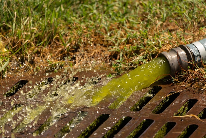 Das Wasser voller Algen wird abgelassen.