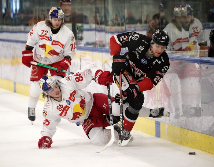 In der neuen Saison wird Guus van Nes wieder im Trikot der Pioneers spielen.