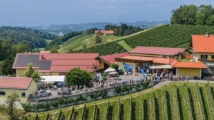 Am Weingut Muster Poschgan wurde aufgetischt