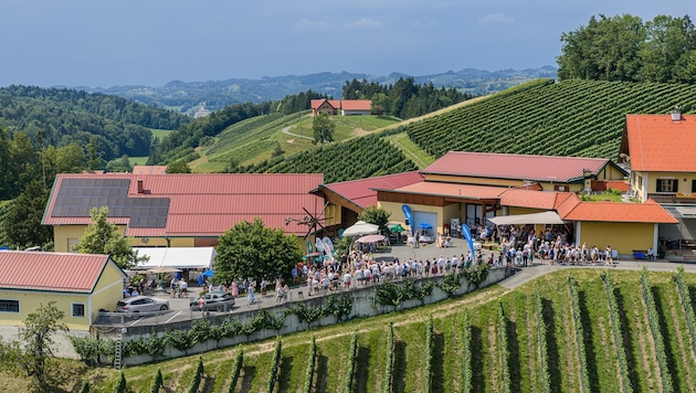 Am Weingut Muster Poschgan wurde aufgetischt