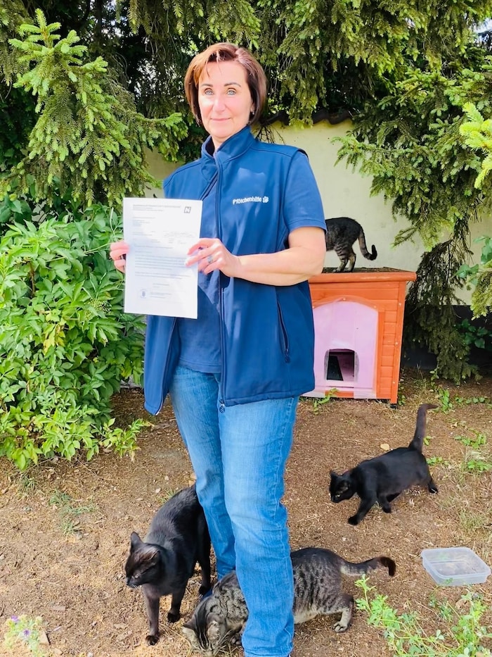 Rund 30 Katzen werden in Matzen von der Pfötchenhilfe versorgt. Doch Obfrau Renate Wimmer wird ...
