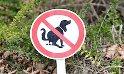 Nimm ein Sackerl für mein Gackerl! Uneinsichtige Hundebesitzer sollen zur Kasse gebeten werden.