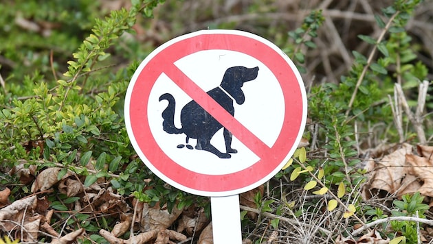 Nimm ein Sackerl für mein Gackerl! Uneinsichtige Hundebesitzer sollen zur Kasse gebeten werden.