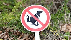 Nimm ein Sackerl für mein Gackerl! Uneinsichtige Hundebesitzer sollen zur Kasse gebeten werden.