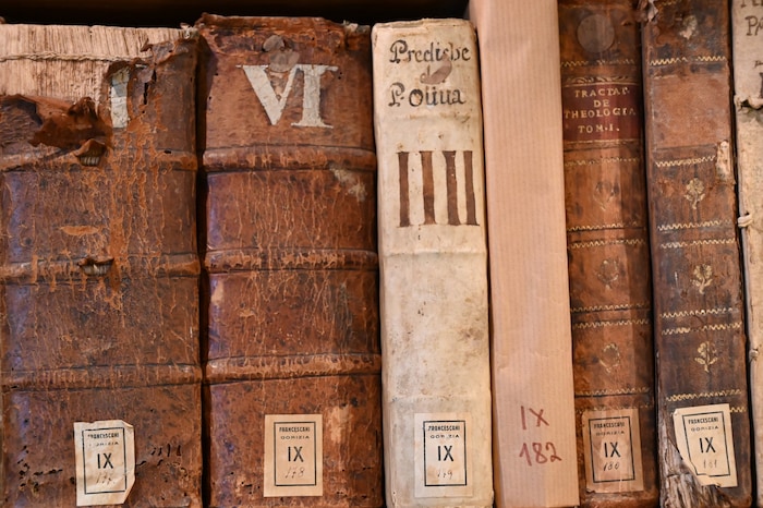 Die Bibliothek des Stifts Herzogenburg umfasst rund 100.000 Bände – von barocken Werken bis hin ...