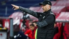 Liefering-Trainer Danny Galm.