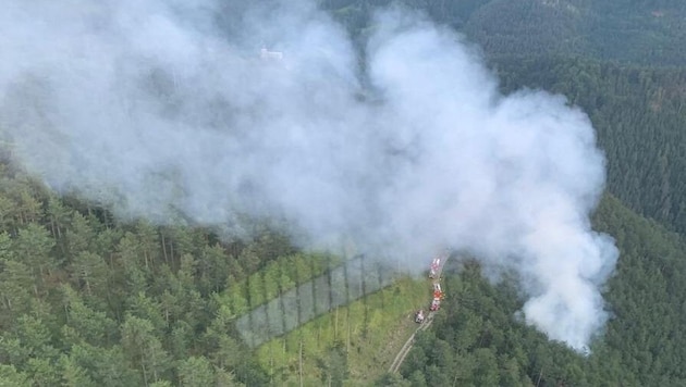 Aufwendiger Großeinsatz im Waldgebiet: Mitten aus dem Wald bei Gutenstein qualmte es, als gerade ...