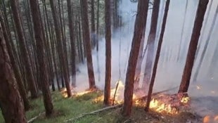 Das Risiko auf Waldbrände wie jenem Ende Juni in Gutenstein im Bezirk Wiener Neustadt ist ...