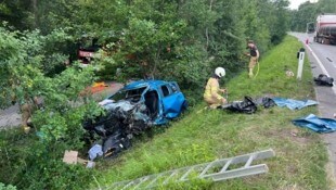 Der Lenker überlebte den Unfall nicht.