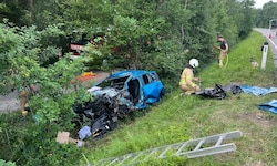 Der Lenker überlebte den Unfall nicht.