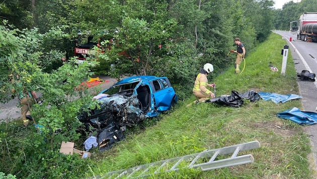Der Lenker überlebte den Unfall nicht.