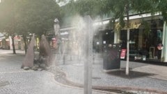 Wasserspender, Bäume, Brunnen: Ohne die geht im Sommer in der Stadt nichts mehr. 