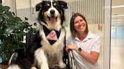 Therapiehund Rainbow und Besitzerin Psychologin Mag. Kathrin Fleischmann.
